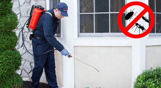 Biga Bit İlaçlama böcek ilaçlama ve haşere kontrolü — ilaclama-tr.com
